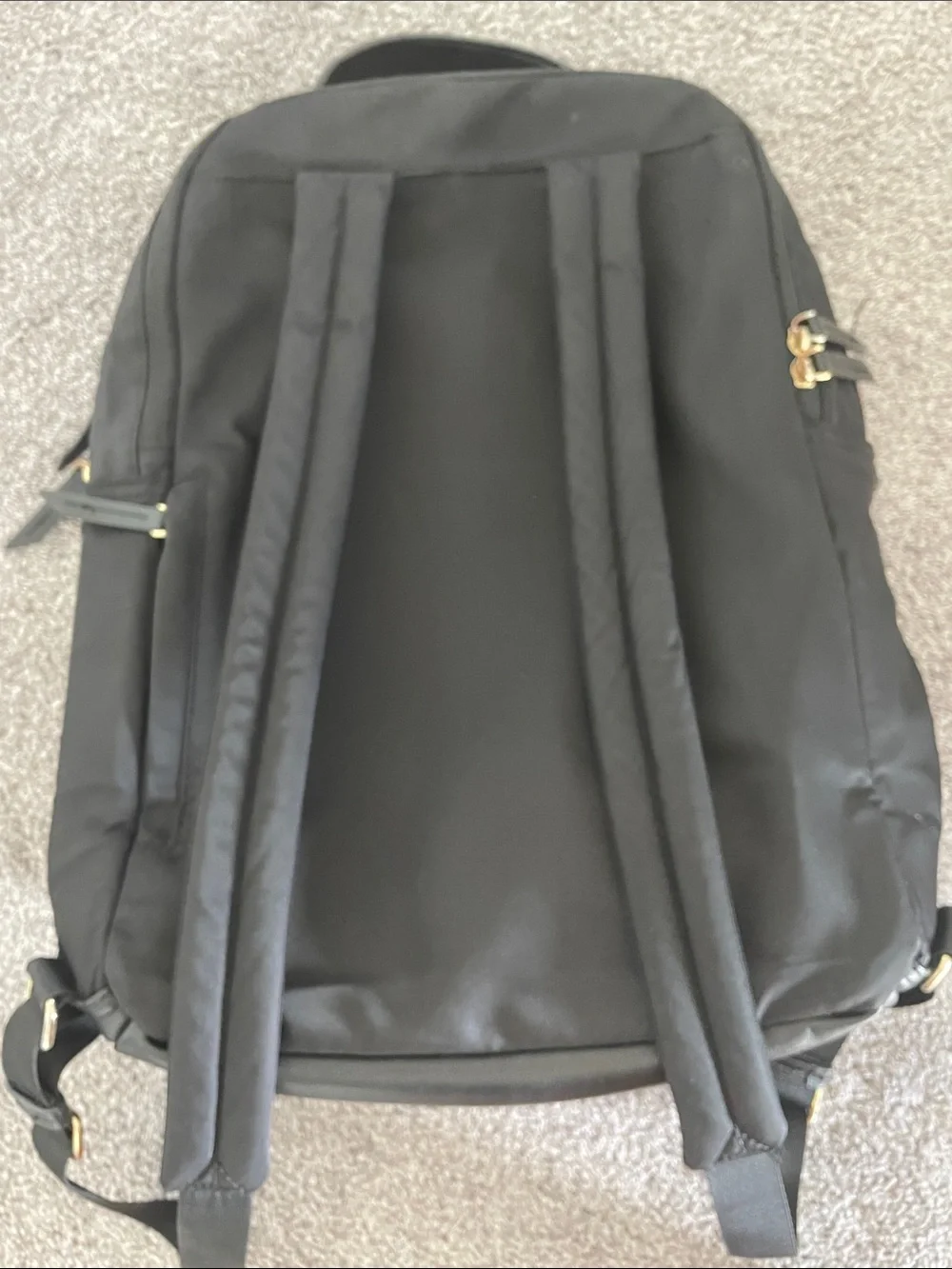 Targus Black Backpack with Gold Accents